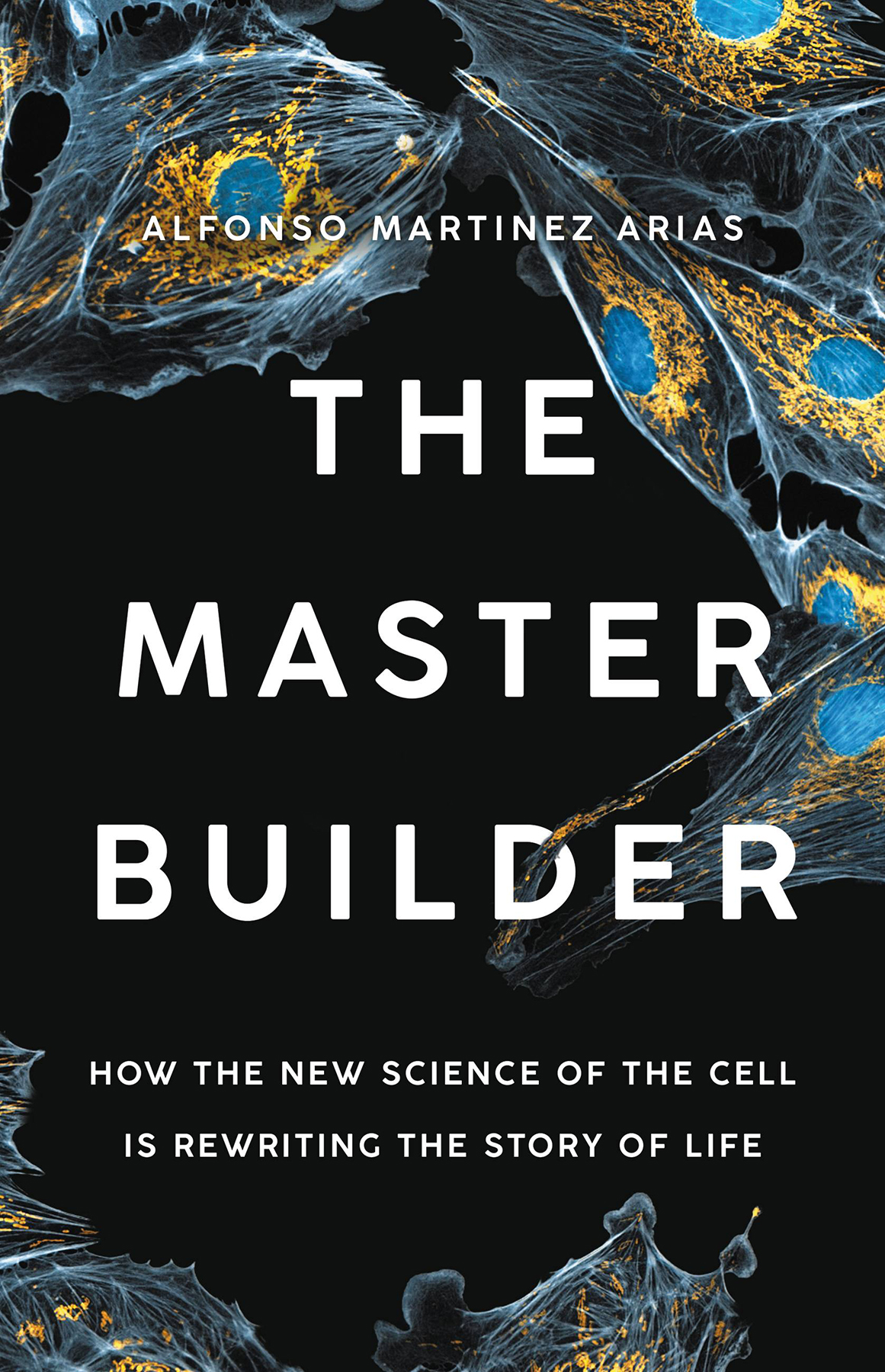 Cover of Pipeline Test - The Master Builder 10.5h - external quality